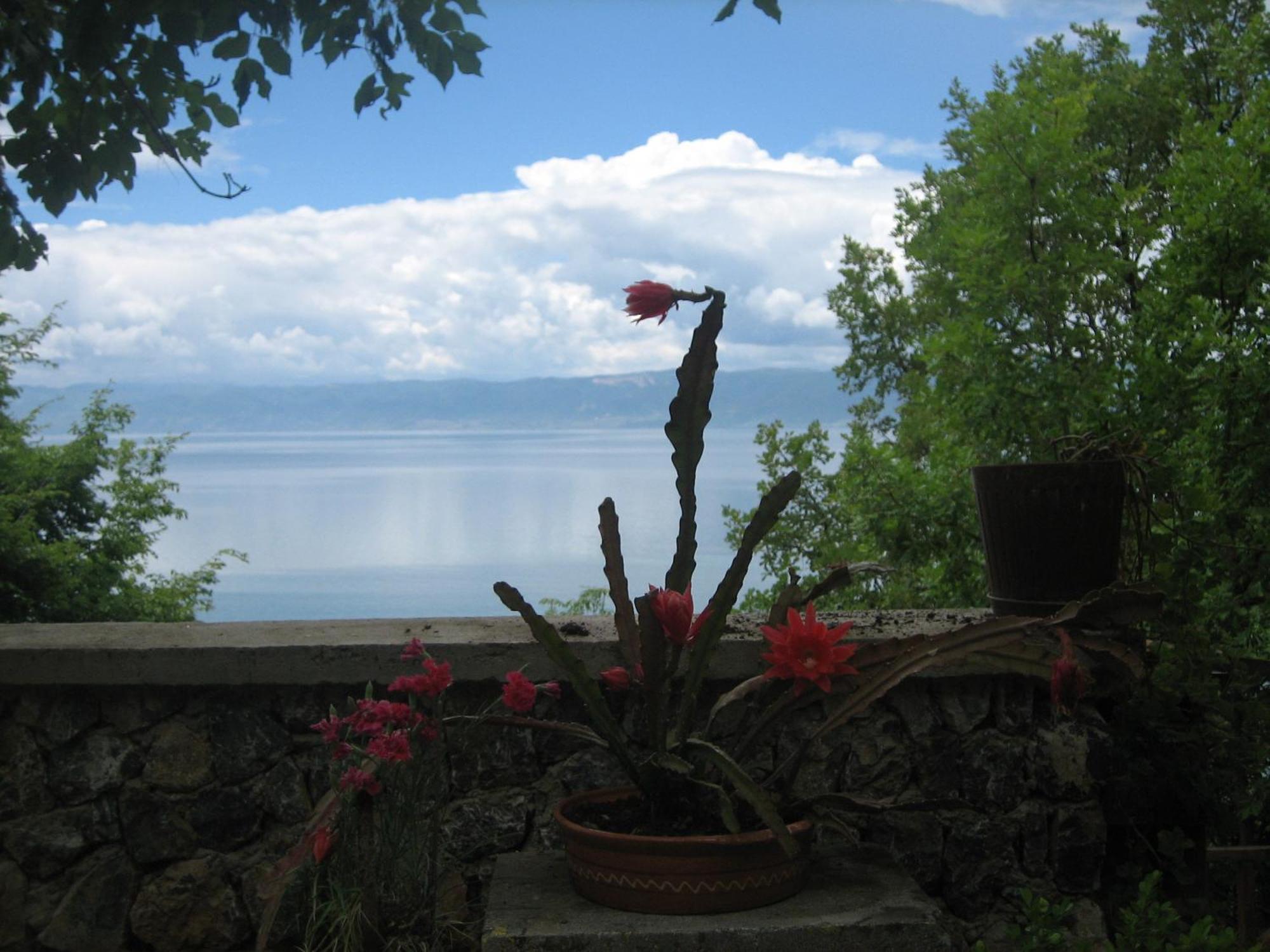 Robinson Sunset Guest House Ohrid Exterior photo